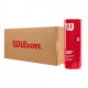 CARTON WILSON PADEL X3 24 Tubes